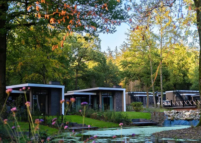 Bright In Nature Park