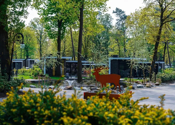 Bright In Nature Park Hoenderloo