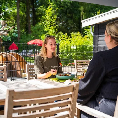 Bright In Nature Park